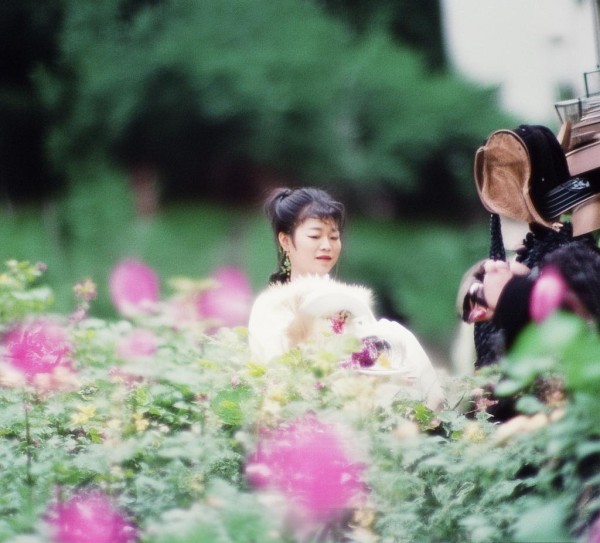 二维火局域网服务端，智能设备管理的中枢大脑